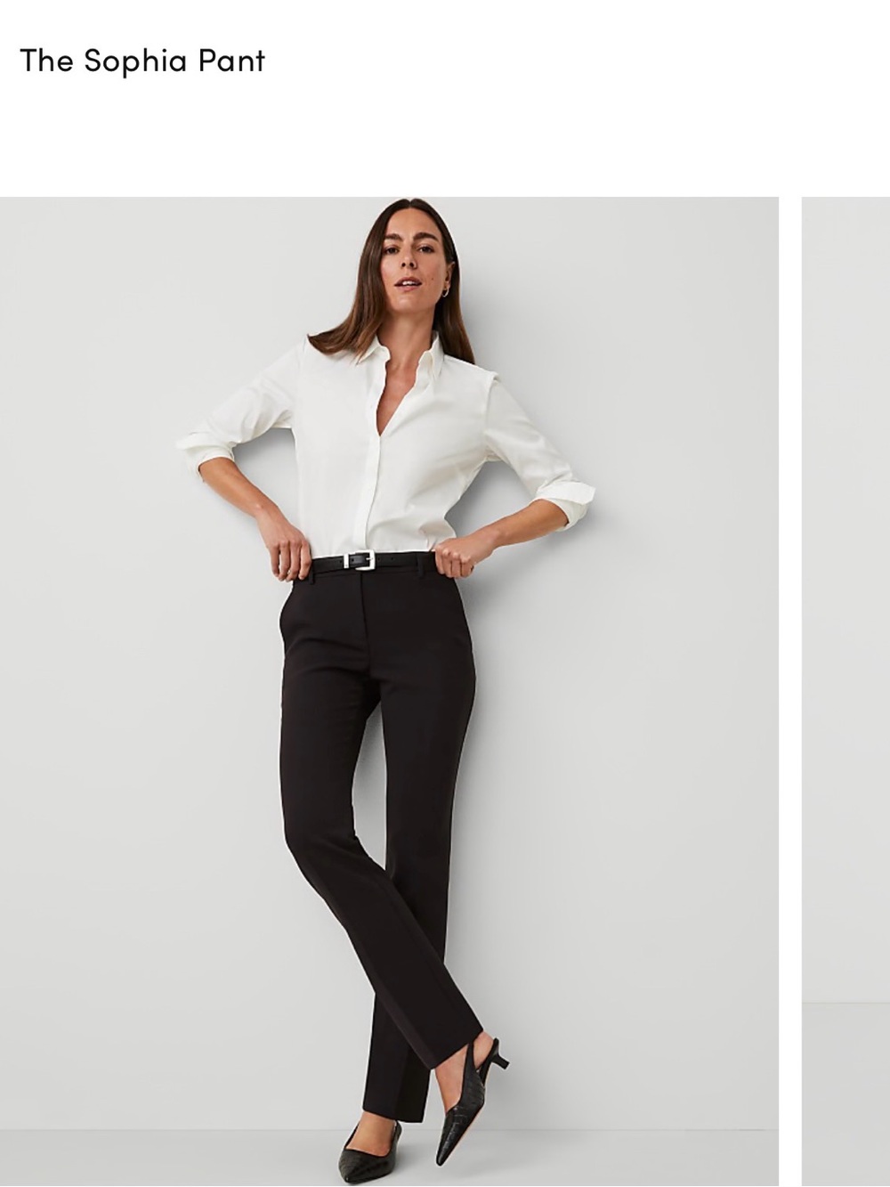 Ann Taylor Sophia Pant